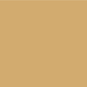 Siser EasyPSV Permanent 24” Camel