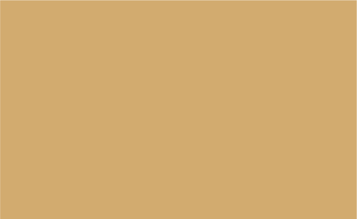 Siser EasyPSV Permanent 24” Camel
