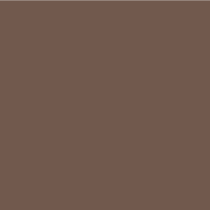 Siser EasyPSV Permanent 12” Coffee