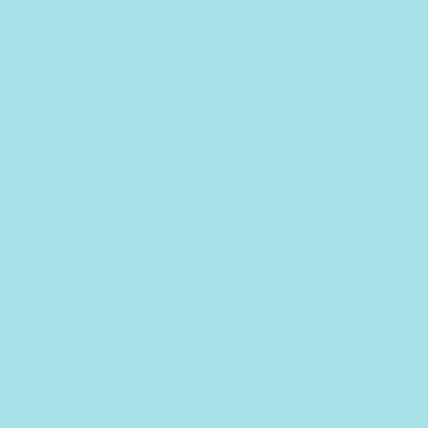 Siser Easyweed 20” ECOStretch Frosty Mint Heat Transfer Vinyl - Premium Crafting Material