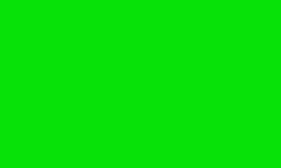 Brick 600 Flo Green Brick 600 Flo Green