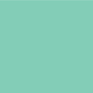 Siser EasyPSV Permanent 12” Fresh Mint