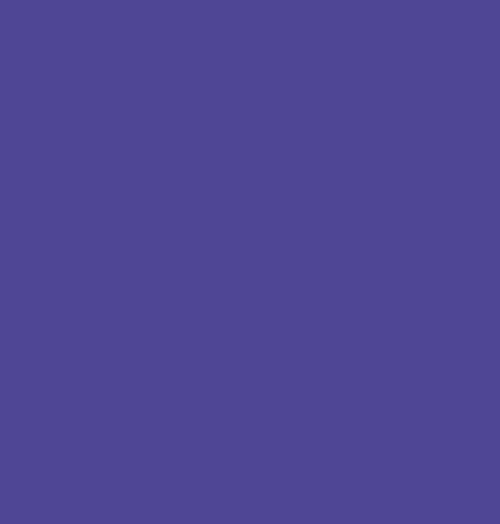 Siser Easyweed 20” ECOStretch Medium Purple Heat Transfer Vinyl - Premium Crafting Material