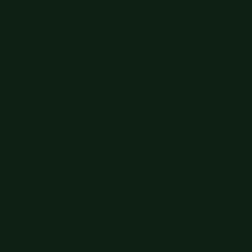 Siser EasyWeed 20 Dark Green Heat Transfer Vinyl