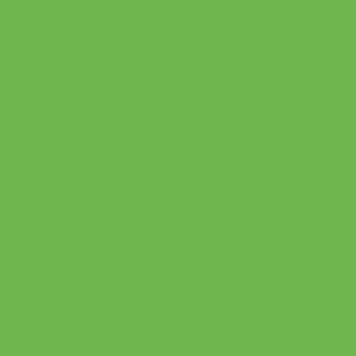 Siser EasyWeed 20 Green Apple Heat Transfer Vinyl