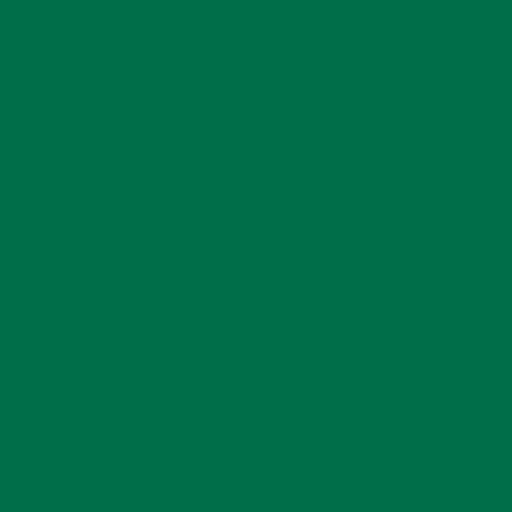 Siser EasyWeed 20 Green Heat Transfer Vinyl