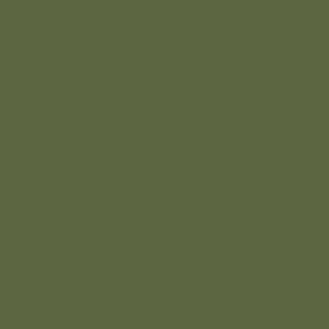 ePSV-Starling_Green Olive