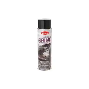 Sprayway Instant Shine – 11 oz Can - Clearance